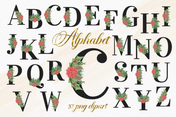 Christmas Floral Alphabet Numbers Illustrations